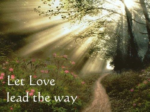 Let love (2015_08_29 14_50_01 UTC)